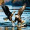 Eagles fighting for a fish