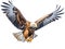 Eagles are large birds of prey. A symbol of power and stability. Generative AI