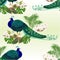 Eamless texture Peacock beauty exotic bird natural and tropical flowers watercolor vintage vector illustration editable