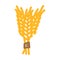 ear barley harvest color icon vector illustration