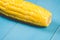 Ear of boiled appetizing corn on a blue background/healthy food. Ear of boiled appetizing corn on a blue background