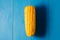 Ear of boiled appetizing corn on a blue background/vegetarian concept. Close up. Ear of boiled appetizing corn on a blue
