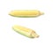 Ear of corn corncob isolated