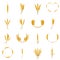 Ear corn food icons set, cartoon style