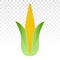 Ear of corn / maize flat color icons on a transparent background