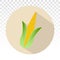 Ear of corn / maize flat icons for apps or website