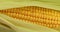 Ear of corn rotate. Corn close up. Super slow motion