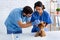 Ear infection treatment in dogs. Young veterinarian with nurse helping little patient in hospital