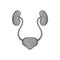 Ear membranes icon, black monochrome style