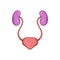 Ear membranes icon, cartoon style