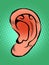 Ear part of the body, hearing sounds