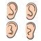 Ear. Part of human body. Eement of head. Symbol of hearing and eavesdropping. Set of different forms
