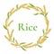 Ear of rice circle frame design, plant vector