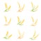 Ear spike logo badge icon wheat isolated vector.