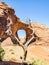 Ear of the Wind, Restricted Area, Monument Valley