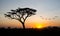 Early African Sunrise Ngorongoro Conservation Area