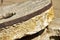 Early American millstone used for grinding corn near Mexican border