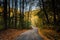 Early autumn color on a road in rural Baltimore County, Maryland