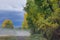 Early Autumn Cottonwoods