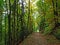 Early autumn in deciduous forests on the slopes of Alpstein mountain range and in the Rhine valley