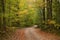 Early Autumn Fall Scenic Tree Lined Country Rural Dirt Road