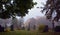 Early autumn forest on a foggy, rainy day