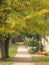 Early autumn sunlit sidewalk in a small town. Fall flowers, pumpkins and a cat on the sidewalk.