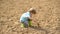 Early childhood development. Cute little farmer working with spud on spring field - child farmer planting in the farm