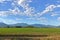 Early Crops on Valley Farmland Acreage