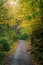 Early fall color along a trail, at Minnewaska State Park, in the Shawangunk Mountains, New York