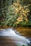 Early fall colors surround gentle flowing stream in autumn