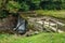 Early Fall View of Rakes Mill Pond Dam