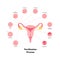 Early human development health care infographic. Vector flat medical illustration. Stages of egg fertilizacion process from