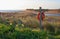 Early morning, Alnmouth beach and bay