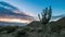 Early morning Arizona sunrise time lapse with Saguaro cactus