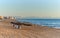 Early morning on the beach of La Mata. Spain