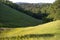 Early morning casts its light on the green, rolling hills of Martinez, California