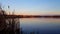 Early morning dawn view of distant houses and calm lake in foreground in summer. Tranquil lakeside nature with buildings