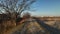Early morning drive on frosty dirt road by bare trees in winter landscape