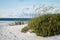 Early morning Florida beach and dunes