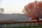 Early morning fog in autumn