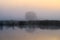 Early morning fog and lake which reflects the reeds and tree standing on the other side, summer morning outside the city