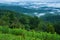 Early Morning Fog over Shenandoah Valley