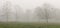 Early morning fog in the rural Louisiana farm field