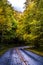 Early morning foggy autumn roads on blue ridge parkway near asheville nc