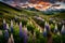 Early in the morning, lupines line a hiking trail close to Crested Butte, Colorado