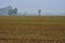 Early morning  mist hangs over the freshley ploughed fields on an overcast day