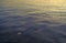 Early morning ocean with small chunks of floating ice