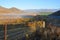 Early Morning in the Omarama Valley, Otago New Zealand