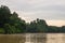 Early morning rainforest along the Kinabatangan River, Sabah, Bo